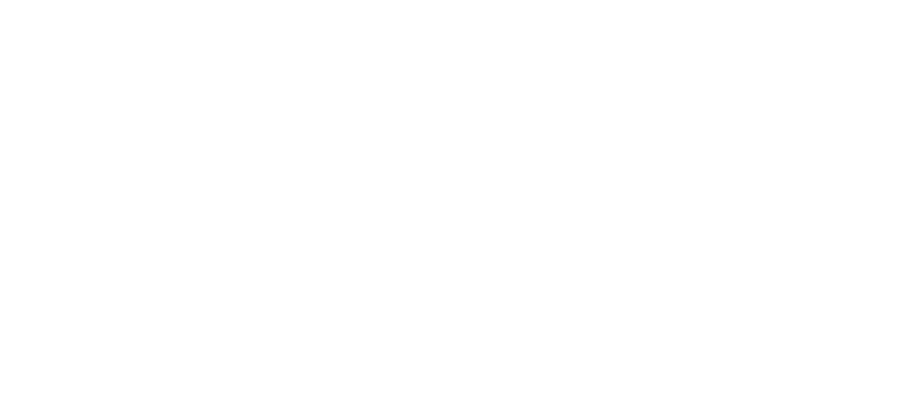 bizcrunch